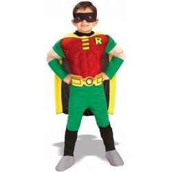Robin™ Costume